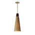 Maxim Sumatra Single Pendant in Natural Aged Brass Finish Model: 14481GCNAB