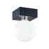 Mitzi 1 Light Flush Mount Model: H385501-NVY
