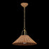 Mitzi Davida Pendant in Aged Brass Finish Model: H894701S-AGB