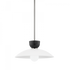 Mitzi Whitley 1 Light Small Pendant Model: H481701S-PN
