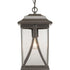 Progress Abbott P550040 020 1 100 Watt MED HANGING LANTERN in Antique Bronze Finish Model: P550040-020