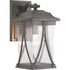 Progress Abbott P560114 020 1 100 Watt MED WALL LANTERN in Antique Bronze Finish Model: P560114-020