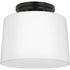 Progress Adley P350260 009 1 Light FLUSHMT in Brushed Nickel Finish Model: P350260-009