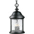 Progress Ashmore P5550 20 3 60 Watt CAND HANGING LANTERN in Antique Bronze Finish Model: P5550-20