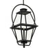 Progress Bradshaw P550138 031 1 Light HANG LANTERN in Textured Black Finish Model: P550138-031
