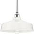 Progress Cedar Springs P550116 030 1 100 Watt MED OUTDOOR PENDANT in White Finish Model: P550116-030