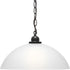 Progress Classic Dome Pendant P500149 009 1 100 Watt MED PENDANT in Brushed Nickel Finish Model: P500149-009