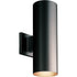 Progress Cylinder P5675 20 2 75 Watt PAR 3 BR 30 WALL in Antique Bronze Finish Model: P5675-20