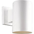 Progress Cylinder P5712 30 1 75 Watt PAR 30 5 Inch DN CYL in White Finish Model: P5712-30