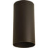 Progress Cylinder P5741 20 1 250 Watt QPAR 38 CTC in Antique Bronze Finish Model: P5741-20
