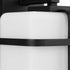 Progress Ellery Collection One Light in Black Modern Farmhouse Large Outdoor Wall Lantern Model: P560170-031
