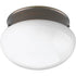 Progress Fitter P3408 09 1 60 Watt MED CLSE TO CLG in Brushed Nickel Finish Model: P3408-09
