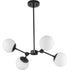 Progress Haas P400307 009 4 Light CHANDELIER in Brushed Nickel Finish Model: P400307-009