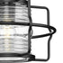 Progress Keegan P550134 31M 1 Light HANG LANTERN in Matte Black Finish Model: P550134-31M