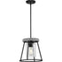 Progress Laramie P500413 31M 1 Light PENDANT in Matte Black Finish Model: P500413-31M