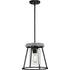 Progress Laramie P500413 31M 1 Light PENDANT in Matte Black Finish Model: P500413-31M