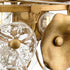 Progress Loretta Collection Three Light in Gold Ombre Transitional Pendant Model: P500442-204