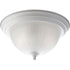 Progress Melon P3817 09 2 75 Watt MED CLSE TO CLG in Brushed Nickel Finish Model: P3817-09