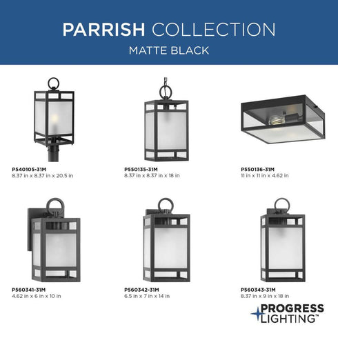 Progress Parrish P550136 31M 2 Light FLUSHMT in Matte Black Finish Model: P550136-31M