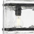 Progress Rivera Collection 5 Light in Matte Black Luxe Industrial Linear Light Model: P400356-31M