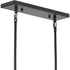 Progress Rivera Collection 5 Light in Matte Black Luxe Industrial Linear Light Model: P400356-31M