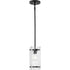 Progress Rivera Collection One Light in Matte Black Luxe Industrial Pendant Model: P500434-31M