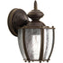Progress Roman Coach P5762 20 1 100 Watt MED WALL LANTERN in Antique Bronze Finish Model: P5762-20