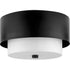 Progress Silva P350249 009 2 Light FLUSHMT in Brushed Nickel Finish Model: P350249-009