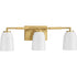 Progress Spenser Collection Three Light in Brushed Nickel Industrial Vanity Light Model: P300505-009