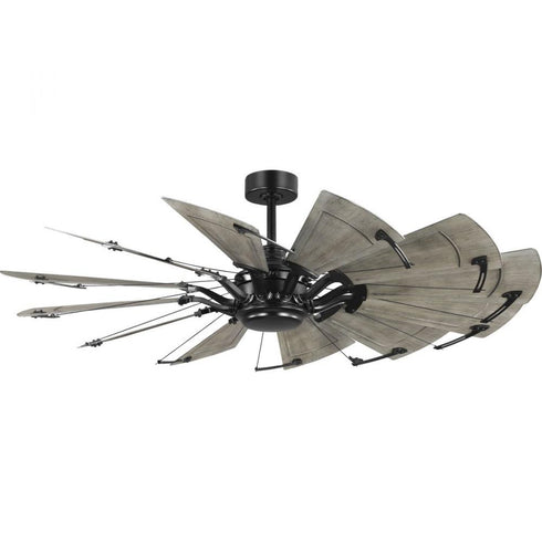 Progress Springer II P250098 081 12 BLADE CEILING FAN in Antique Nickel Finish Model: P250098-081
