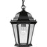 Progress Welbourne P5582 31 1 100 Watt MED CH HUNG LANT in Textured Black Finish Model: P5582-31