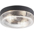 Progress Weldon P550042 031 2 60 Watt MED FLUSH MOUNT in Textured Black Finish Model: P550042-031