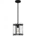 Quoizel Fortress Mini Pendant in Earth Black Finish Model: FTS1509EK