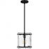 Quoizel Fortress Mini Pendant in Earth Black Finish Model: FTS1509EK