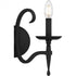 Quoizel Octavia Wall Sconce in Earth Black Finish Model: OCA8714EK