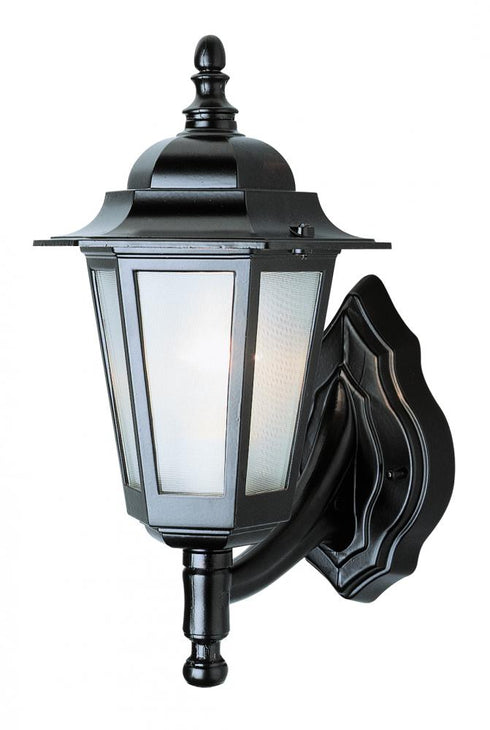 Trans Globe Alexander Outdoor 1 Light Frosted Glass And Model: 4055 BC