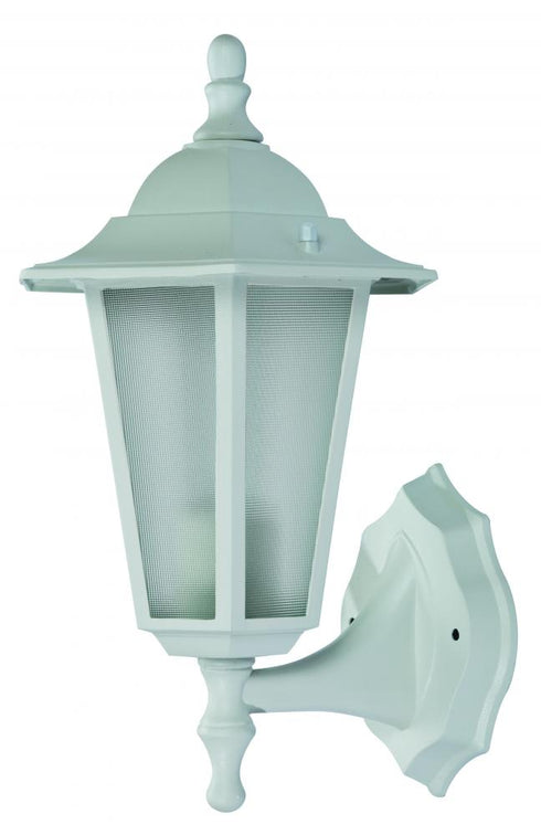 Trans Globe Alexander Outdoor 1 Light Frosted Glass And Model: 4055 BC