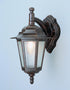 Trans Globe Alexander Outdoor 1 Light Frosted Glass And Model: 4056 BC