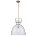 Trans Globe Ameranth 1 Light PENDANT LG CLEAR GLASS BK in Antique Gold Finish Model: PND-2229 AG