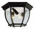 Trans Globe Angelus 3 Light FLUSH OUTD CURVED HEX OPEN in Black Finish Model: 4906 BK