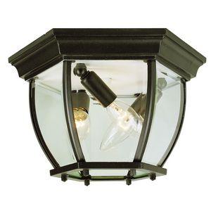 Trans Globe Angelus 4 Light BENT GLASS FLUSHMOUNT in Black Finish Model: 4907 BK