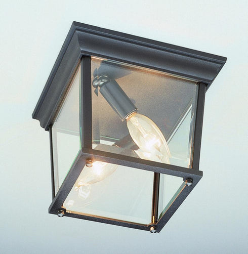Trans Globe Ansel Collection Square 2 Light Simple Model: 4905 BG