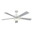 Trans Globe Arden 5 BLADE 52 Inch LED FAN WC6 INCLUD 2 Inch ROD in Black Finish Model: F-1032 BK