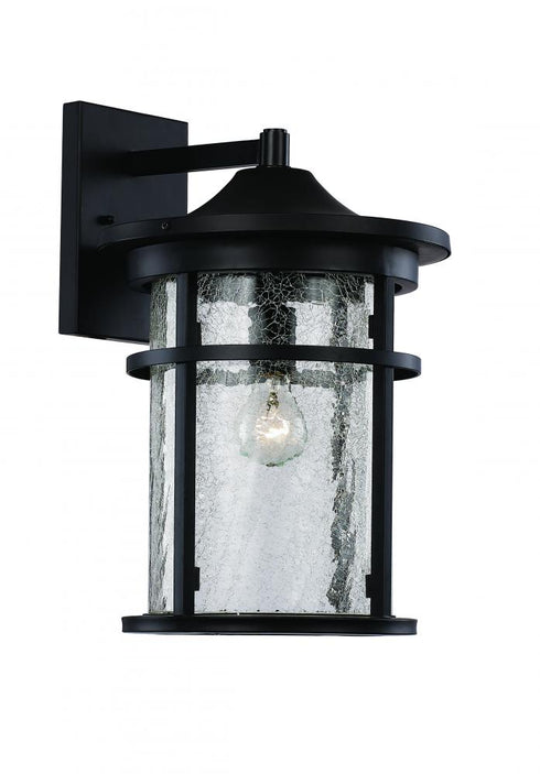 Trans Globe Avalon Crackled Glass Armed Outdoor Wall Model: 40381 BK