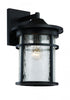 Trans Globe Avalon Crackled Glass Armed Outdoor Wall Model: 40382 BK
