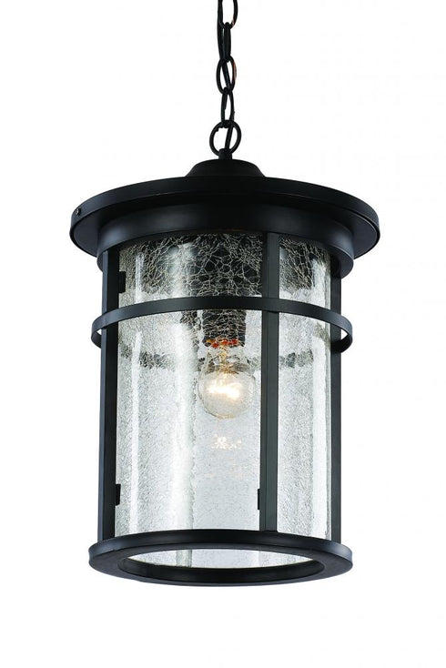 Trans Globe Avalon Crackled Glass Outdoor Hanging Pendant Model: 40386 RT