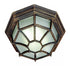 Trans Globe Benkert 1 Light FLUSH SPIDER LRG OUTD FROS in Black Finish Model: 40582 BK