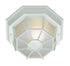 Trans Globe Benkert 1 Light FLUSH SPIDER LRG OUTD FROS in Black Finish Model: 40582 BK