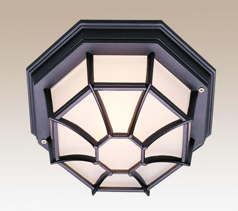 Trans Globe Benkert 1 Light FLUSH SPIDER LRG OUTD FROS in Black Finish Model: 40582 BK