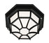 Trans Globe Benkert 1 Light FLUSH SPIDER SML OUTD FROS in Black Finish Model: 40581 BK
